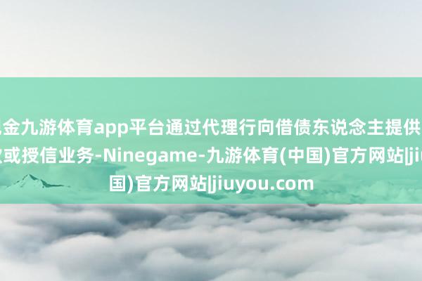 现金九游体育app平台通过代理行向借债东说念主提供的本外币贷款或授信业务-Ninegame-九游体育(中国)官方网站|jiuyou.com