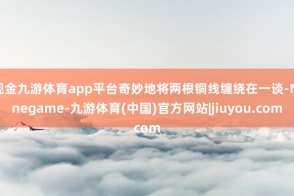 现金九游体育app平台奇妙地将两根铜线缠绕在一谈-Ninegame-九游体育(中国)官方网站|jiuyou.com