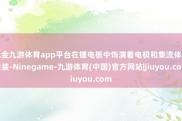 现金九游体育app平台在锂电板中饰演着电极和集流体的变装-Ninegame-九游体育(中国)官方网站|jiuyou.com